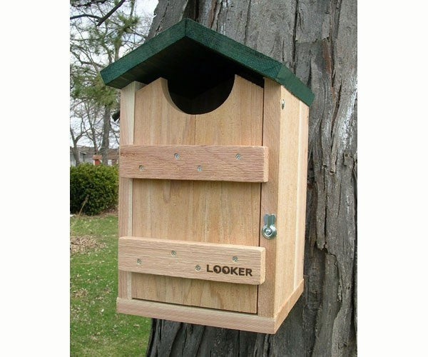 Screech Owl House - YourGardenStop